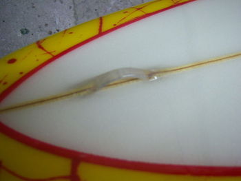 Brendanboard027.jpg